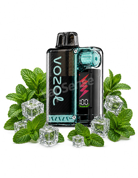 Vozol Vista Plug Kit Menta Miami 10000 Puffs