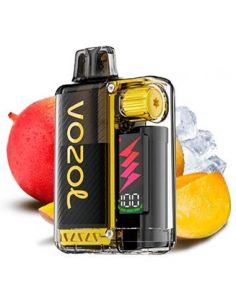 Vaper desechable Mango Ice – Vozol Vista Plug