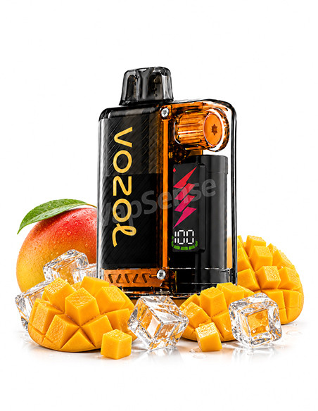 Vozol Vista Plug Kit Mango Ice 10000 Puffs