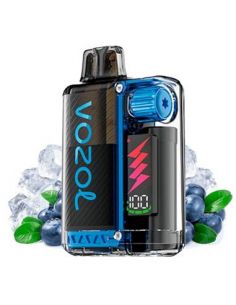 Vaper desechable Arándano Ice – Vozol Vista Plug