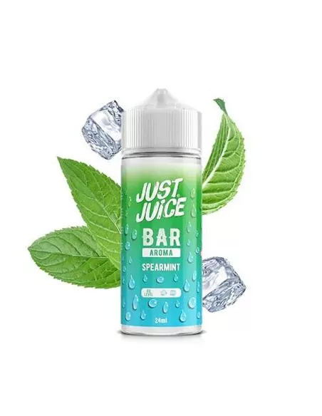 Spearmint Aroma Longfill 120ml - Just Juice Bar