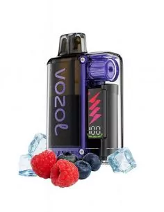 Vaper Desechable Arándano Frambuesa Ácida - Vozol Vista Plug Kit 10000 puff