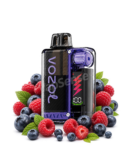 Vozol Vista Plug Kit Arándano Frambuesa Ácida 10000 Puffs