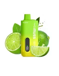 Vaper Desechable Lemon Lime Zero - Muss Tech 8000