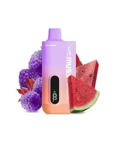 Vaper Desechable Raspberry Watermelon Zero - Muss Tech 8000