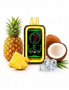 Pineapple Coconut Zero - Muss CyberFlex 25000 puff