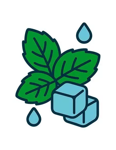 Líquidos Menthol